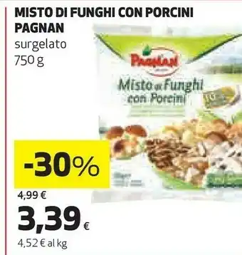 Pagnan - misto di funghi con porcini 750 g(ml)