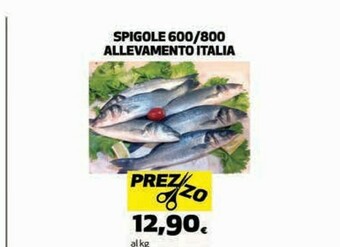 Coop Spigole offerta