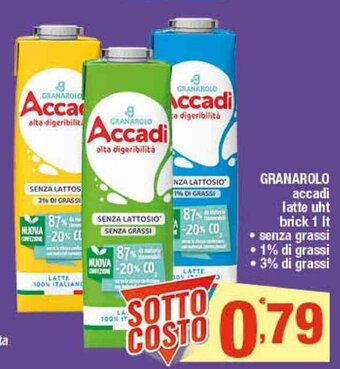 Granarolo Accadì Latte UHT brick 1lt