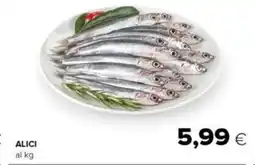 Tigre ALICI offerta