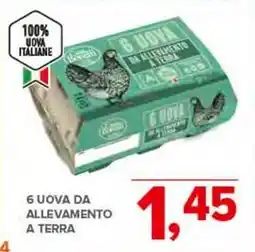 Todis 6 UOVA DA ALLEVAMENTO A TERRA offerta