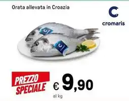 Iper La Grande Orata allevata in Croazia offerta