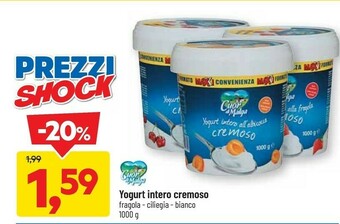 DPiù Yogurt offerta
