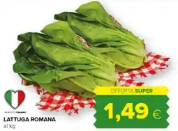 Oasi LATTUGA ROMANA offerta