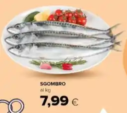 Oasi SGOMBRO offerta