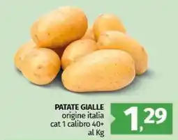 Pam PATATE GIALLE offerta