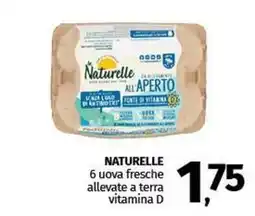 Pam NATURELLE 6 uova fresche allevate a terra vitamina D offerta