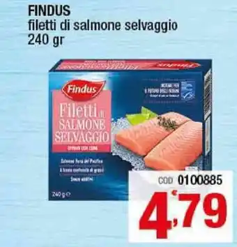 Gruppo di Palo Findus Filetti di salmone selvaggio 240gr offerta