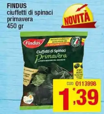 Gruppo di Palo Findus Ciuffetti di spinaci primavera 450gr offerta