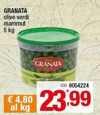Gruppo di Palo Granata Olive verdi mammut 5kg offerta