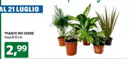 DPiù PIANTE MIX VERDE offerta