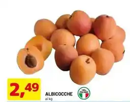 DPiù ALBICOCCHE offerta