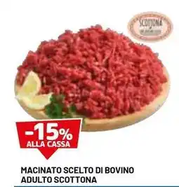 DPiù MACINATO SCELTO DI BOVINO ADULTO SCOTTONA offerta