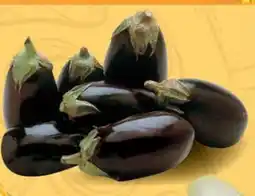 MELANZANE TONDE