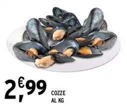 Gecop COZZE offerta
