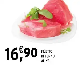 Gecop FILETTO DI TONNO offerta