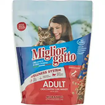 Mercati di Città La Prima MIGLIOR GATTO offerta