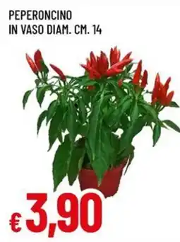 Famila PEPERONCINO IN VASO DIAM. CM. 14 offerta
