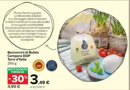 Carrefour Market Bocconcini di Bufala Campana DOP Terre d'Italia offerta