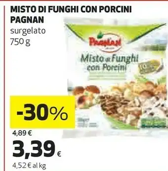 Pagnan - misto di funghi con porcini 750 g(ml)