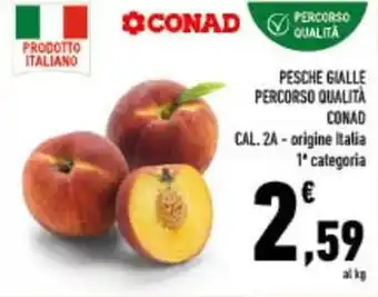 Conad City PESCHE GIALLE PERCORSO QUALITÀ CONAD offerta