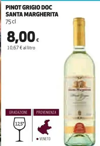 Coop Pinot grigio doc offerta