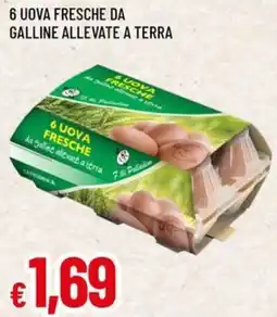 Famila 6 UOVA FRESCHE DA GALLINE ALLEVATE A TERRA offerta