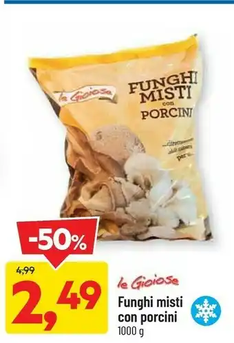 DPiù Le gioiose funghi misti con porcini 1000 g offerta