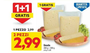 Gouda