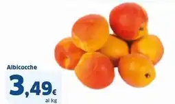 Sigma Albicocche offerta