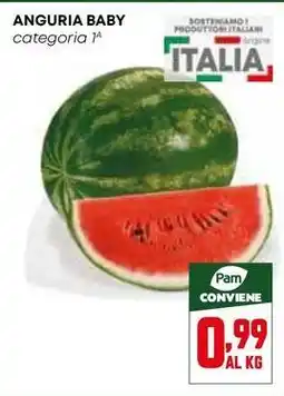 Pam ANGURIA BABY offerta