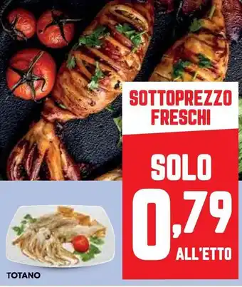 Panorama TOTANO offerta