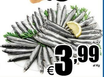 DEM Alici offerta
