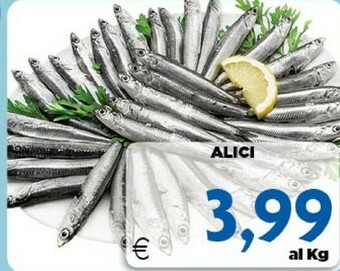 DEM Alici offerta