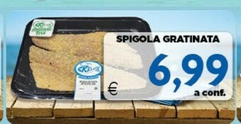 DEM Pesce offerta