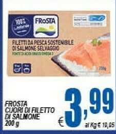 DEM Filetti di salmone offerta