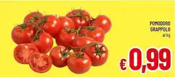 A&O POMODORO GRAPPOLO offerta