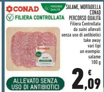 Conad City Salame offerta