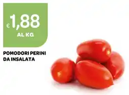 Ekom POMODORI PERINI DA INSALATA offerta