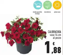 Conad CALIBRACHOA vaso 14 cm offerta