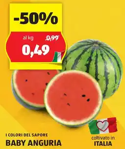 ALDI I COLORI DEL SAPORE BABY ANGURIA offerta