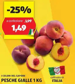 ALDI I COLORI DEL SAPORE PESCHE GIALLE 1 KG offerta