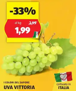 ALDI I COLORI DEL SAPORE UVA VITTORIA offerta