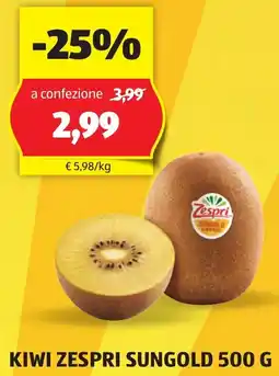 ALDI KIWI ZESPRI SUNGOLD 500 G offerta