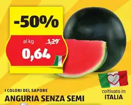 ALDI I COLORI DEL SAPORE ANGURIA SENZA SEMI offerta