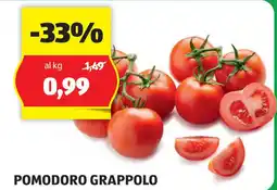 ALDI POMODORO GRAPPOLO offerta