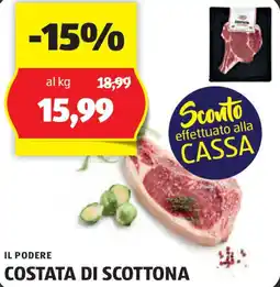 ALDI IL PODERE COSTATA DI SCOTTONA offerta
