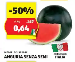ALDI I COLORI DEL SAPORE ANGURIA SENZA SEMI offerta