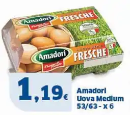 Sigma Amadori Uova Medium 53/63 x 6 offerta