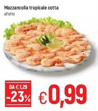 Famila Mazzancolle tropicale cotta offerta